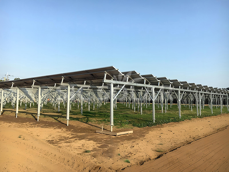Hệ thống lắp đặt năng lượng mặt trời nông nghiệp