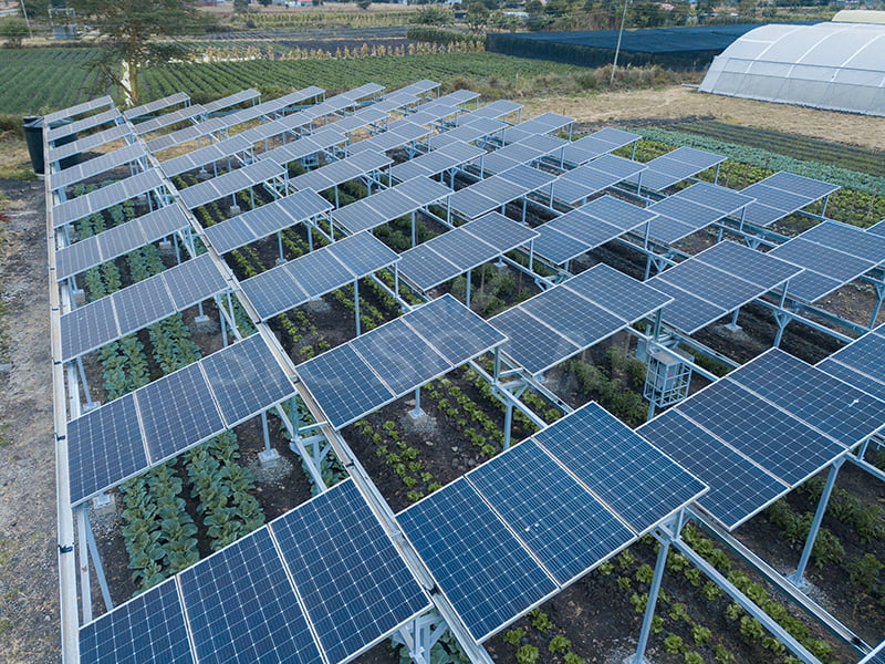 Hệ thống gắn kết năng lượng mặt trời trên mặt đất trang trại