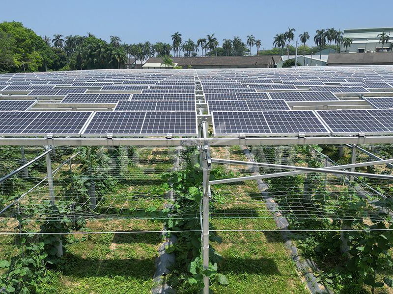 Agricultural Solar System