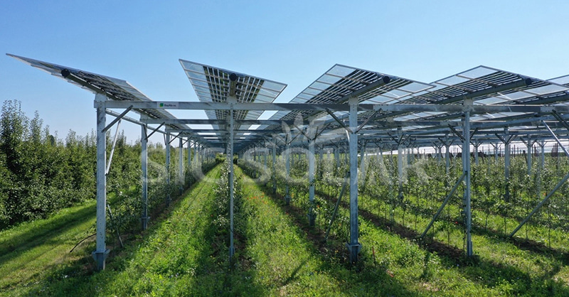 solar panels and agriculture
