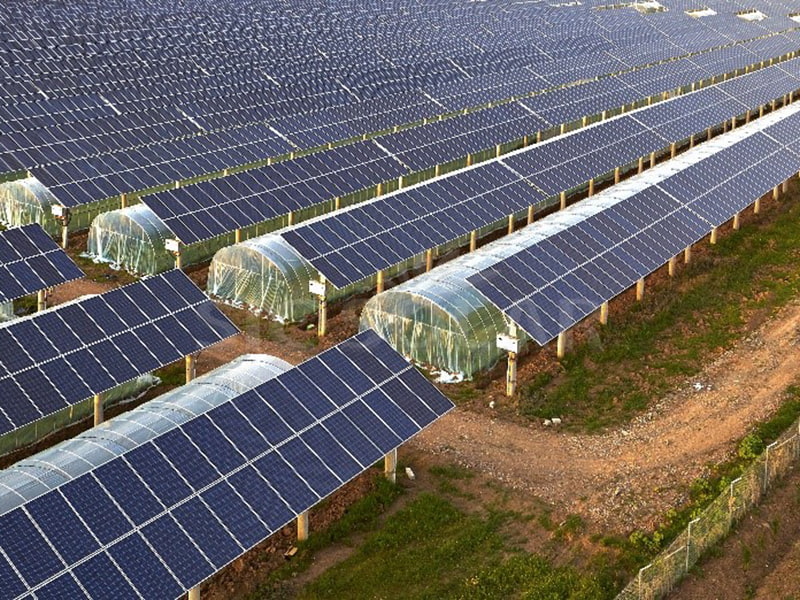 Hệ thống lắp đặt năng lượng mặt trời trang trại 10MW ở Ấn Độ